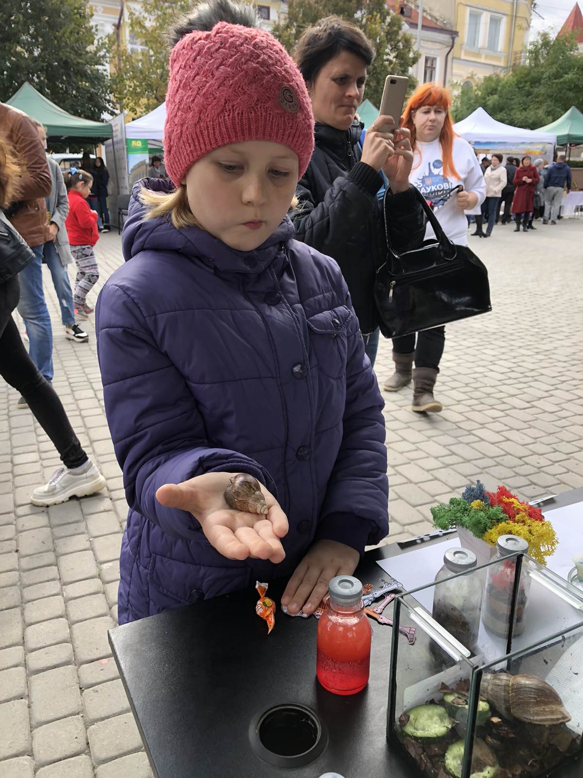 Ахатини – равлики, які завжди збирають біля себе велику аудиторію